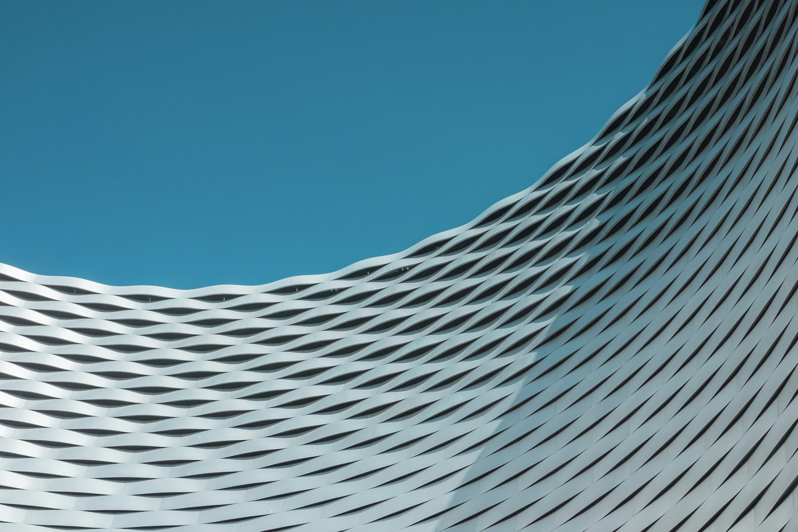 Abstract detail of a curved white facade lattice in raking light